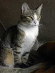 tinka-8.jpg