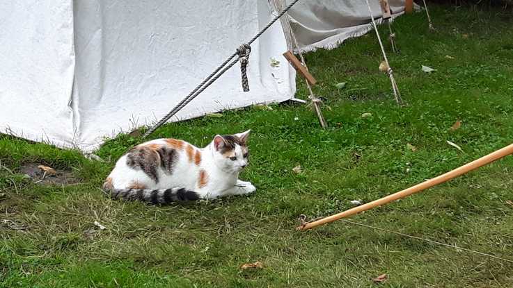 dani-20160628_185723-16.jpg