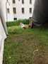 heiko-img_1571-8.jpg