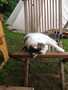 heiko-img_1574-8.jpg