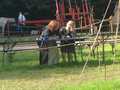 20170826_112039-heiko-img_2312-8.jpg