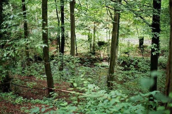 Burg_Talblick_Goehl-33.jpg