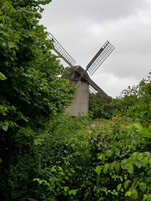 20180624_122300-dani-19.jpg