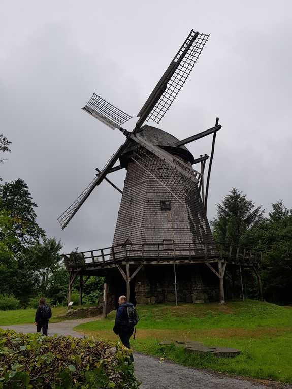 20180624_123749-dani-19.jpg