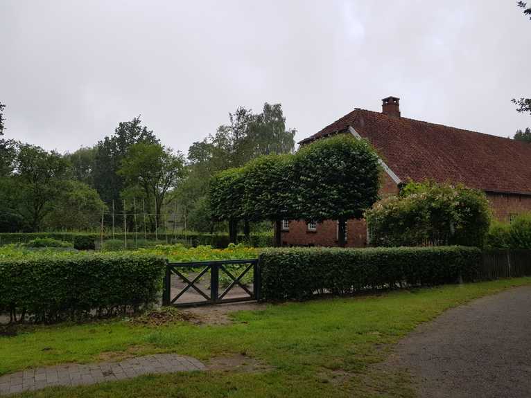 20180624_145842-dani-19.jpg