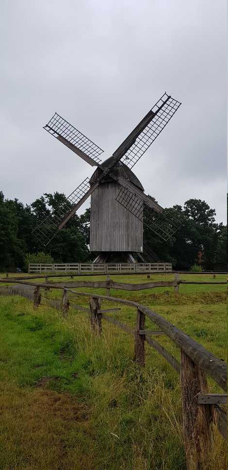 20180624_160821-dani-24.jpg
