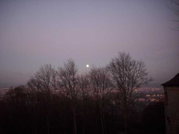 altenburg-dsci0155-20.jpg