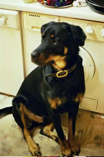 rocky2-67.jpg