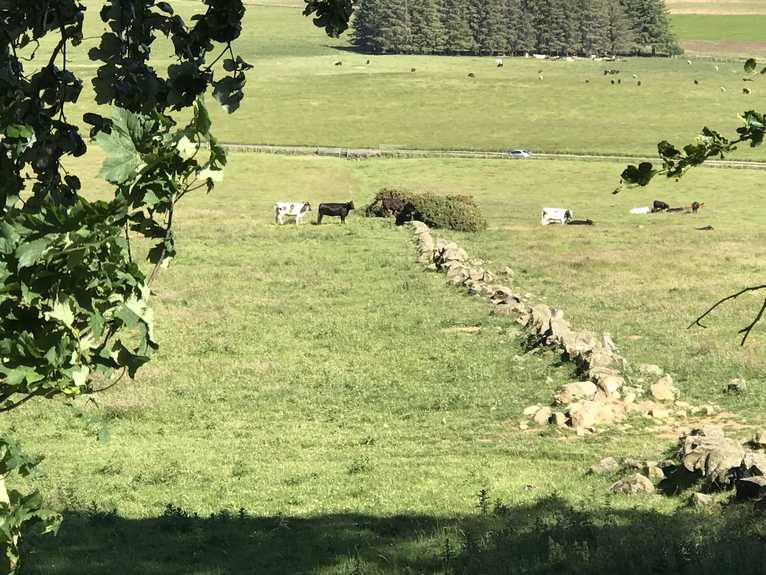 20180630_161752-heiko-img_3743-19.jpg
