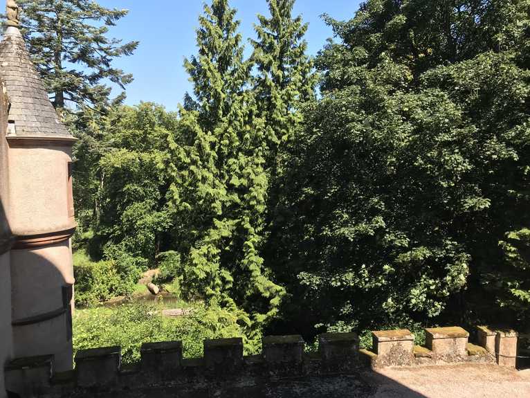 20180704_115422-heiko-img_4290-19.jpg