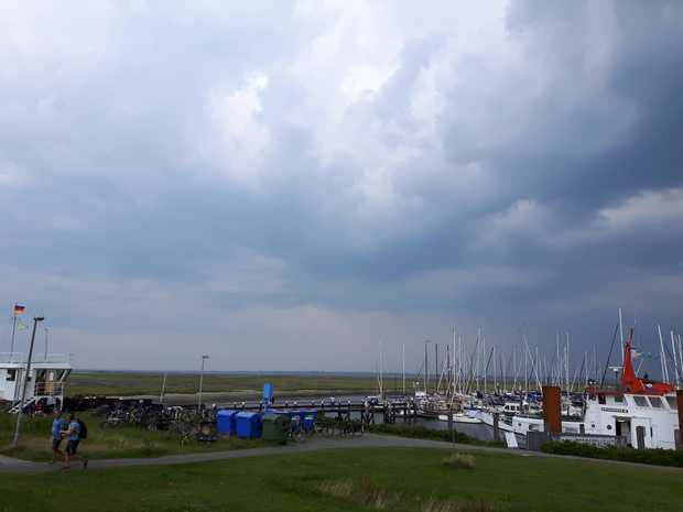 20170719_185004-dani-20170720_072444-19.jpg