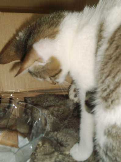 01010005-33.jpg