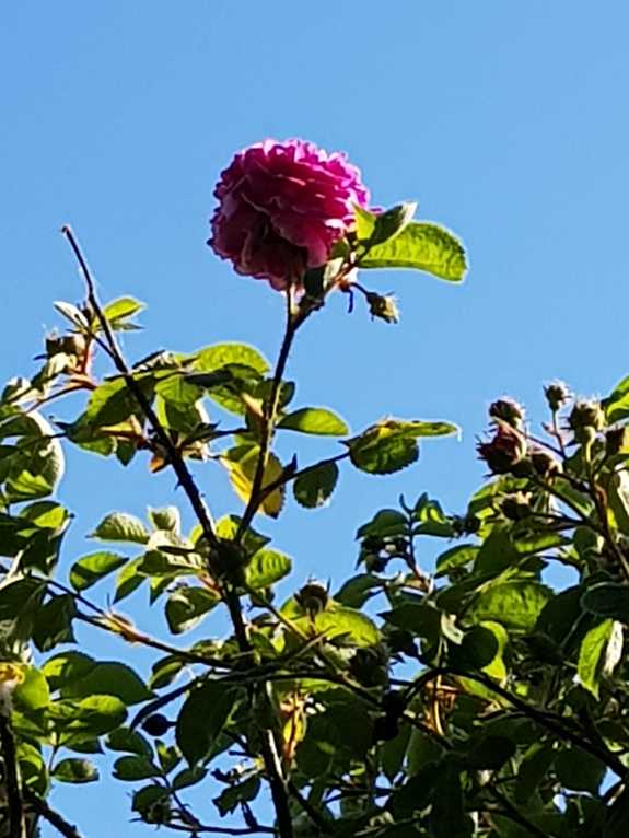 20180526_165042-dani-19.jpg