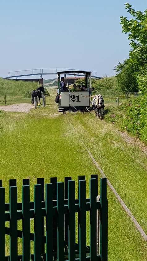 20180527_124408-dani-33.jpg