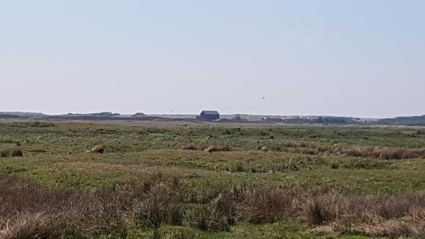 20180527_131001-dani-33.jpg