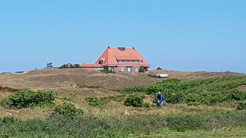 20180527_131012-dani-33.jpg