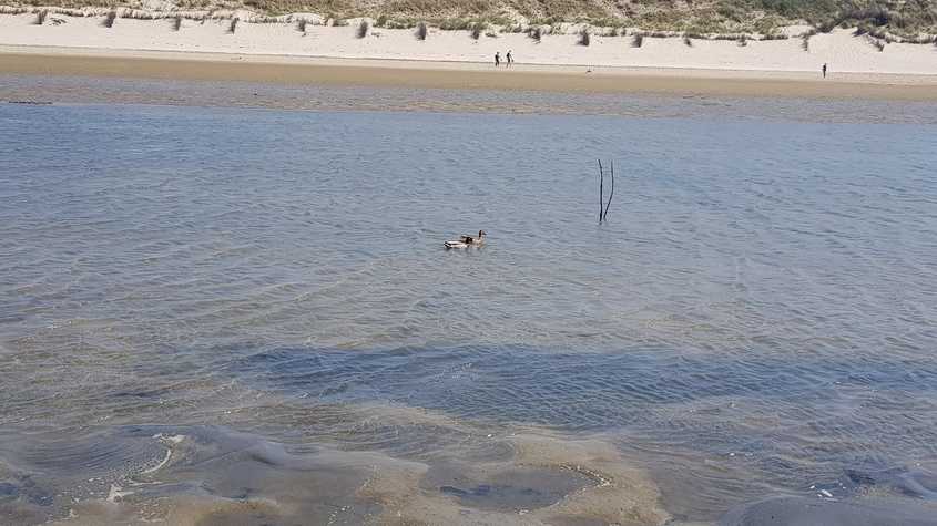 20180527_150757-dani-33.jpg