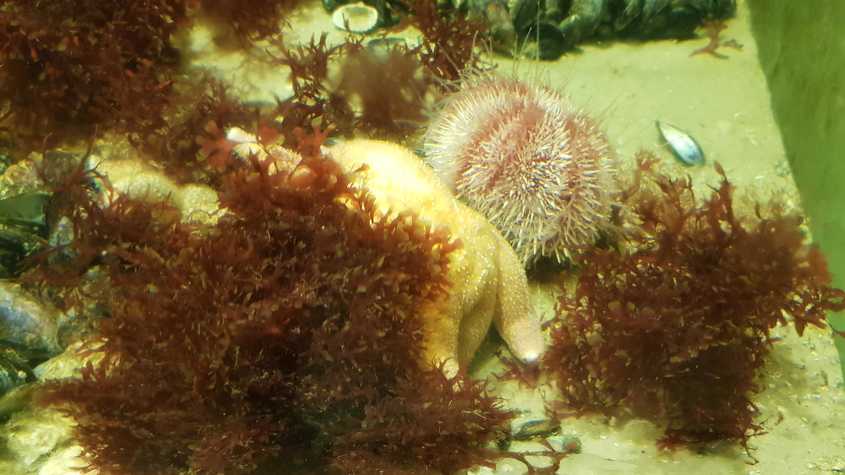 20180530_123318-dani-33.jpg