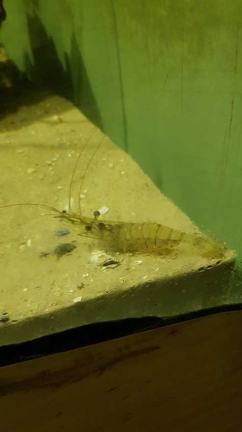 20180530_123621-dani-33.jpg