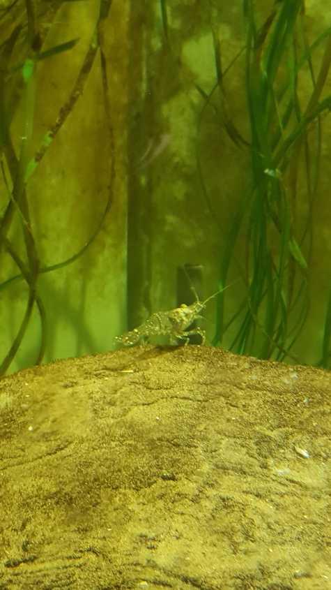 20180530_123704-dani-33.jpg