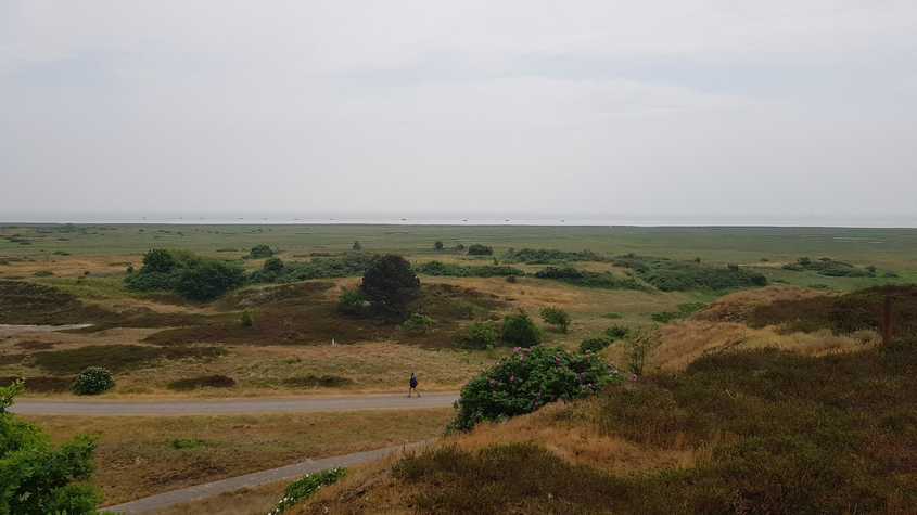 20180530_141015-dani-33.jpg