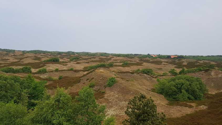 20180530_141043-dani-33.jpg