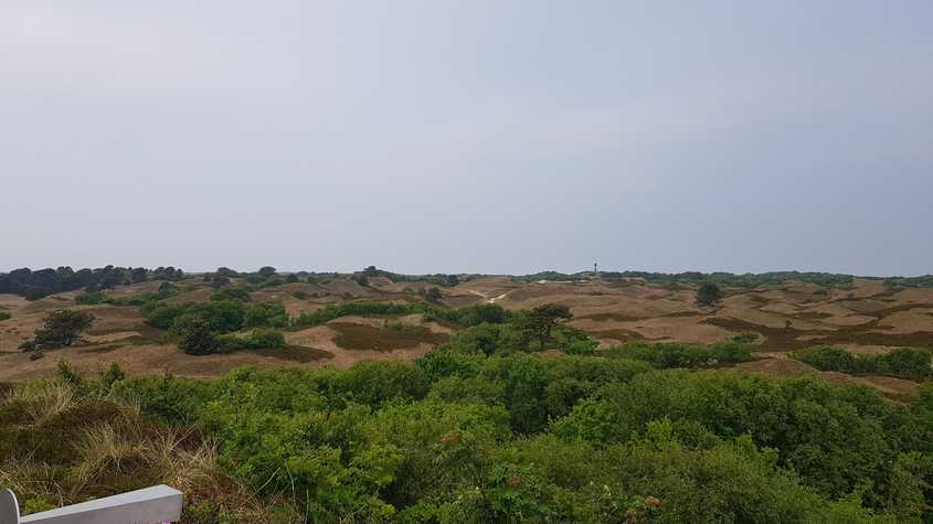 20180530_141052-dani-33.jpg
