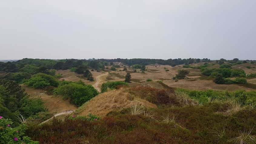20180530_141104-dani-33.jpg