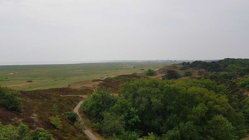 20180530_141118-dani-33.jpg