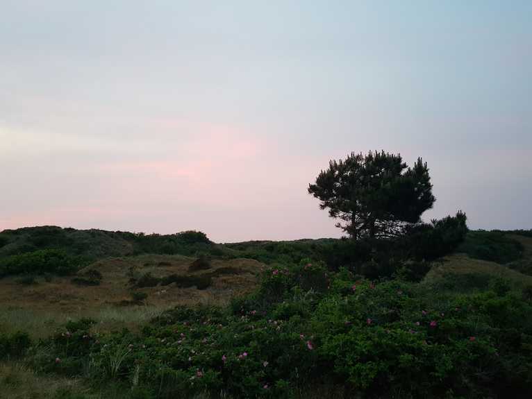 20180531_220818-dani-19.jpg