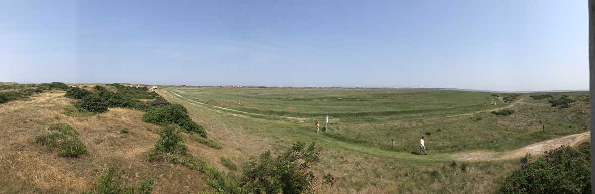 20180601_131216-heiko-img_3243-10.jpg