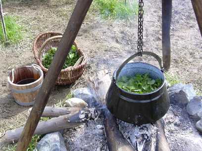 Brennesselgemse im Topf