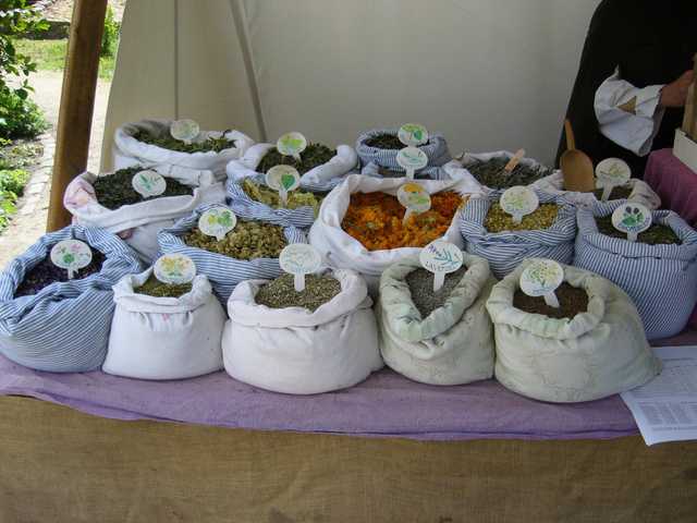 p1000156-25.jpg