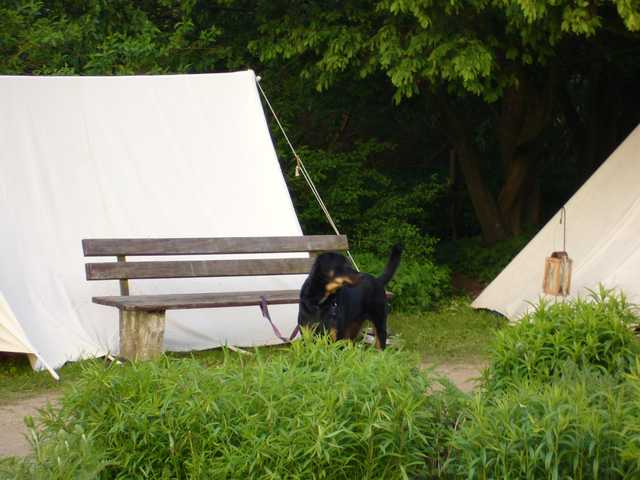 p1000195-25.jpg