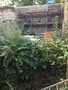 20171002_182333-heiko-IMG_2423-8.jpg