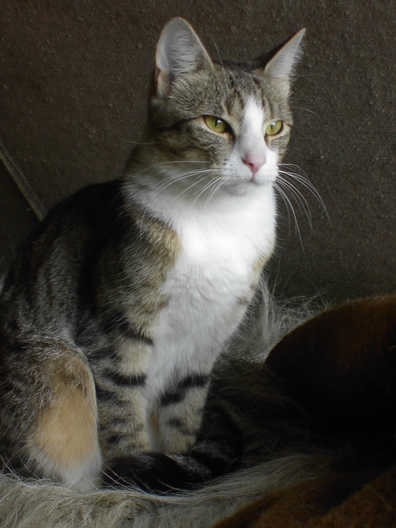 tinka-33.jpg